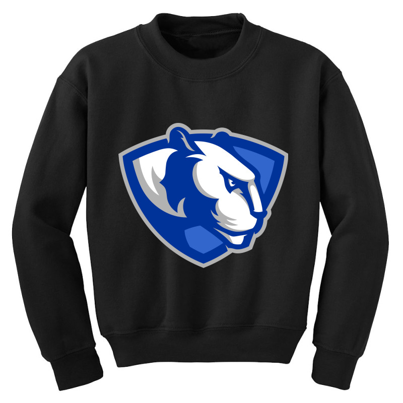 Eastern Illinois Panthers Youth Sweatshirt by votreshop | Artistshot