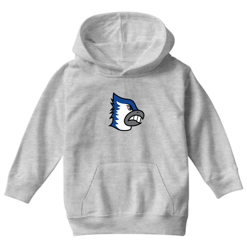 Bondurant–farrar Junior Senior High School Youth Hoodie by Andrianalvin | Artistshot