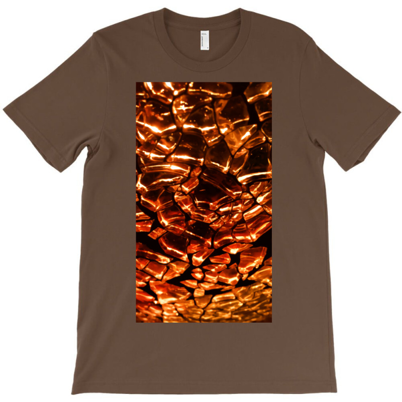 Dragon Scales T-shirt | Artistshot