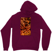 Dragon Scales Unisex Hoodie | Artistshot