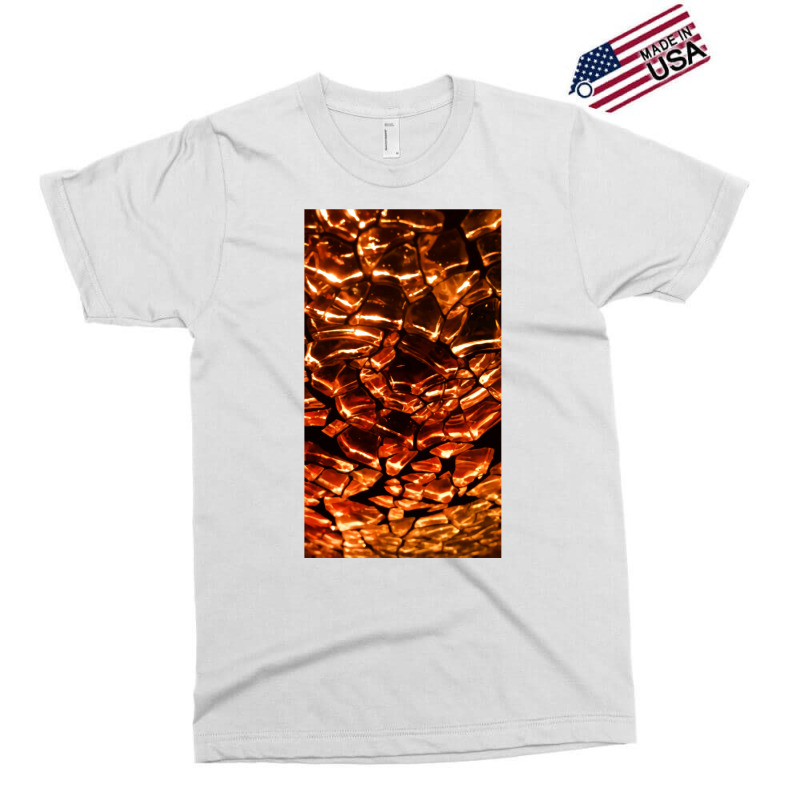 Dragon Scales Exclusive T-shirt | Artistshot