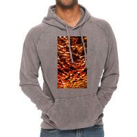 Dragon Scales Vintage Hoodie | Artistshot