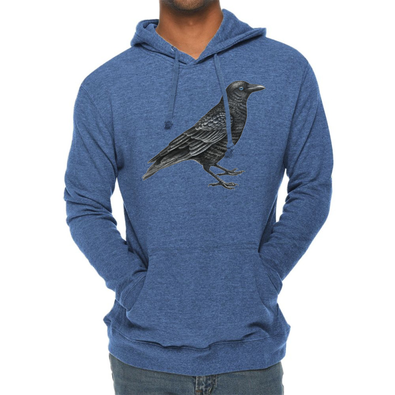 Bird Drawing Lightweight Hoodie by sporewashory | Artistshot