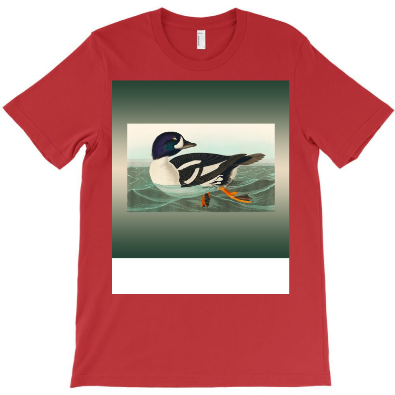 Common Goldeneye Duck Birder Antique Look Birding T-shirt | Artistshot