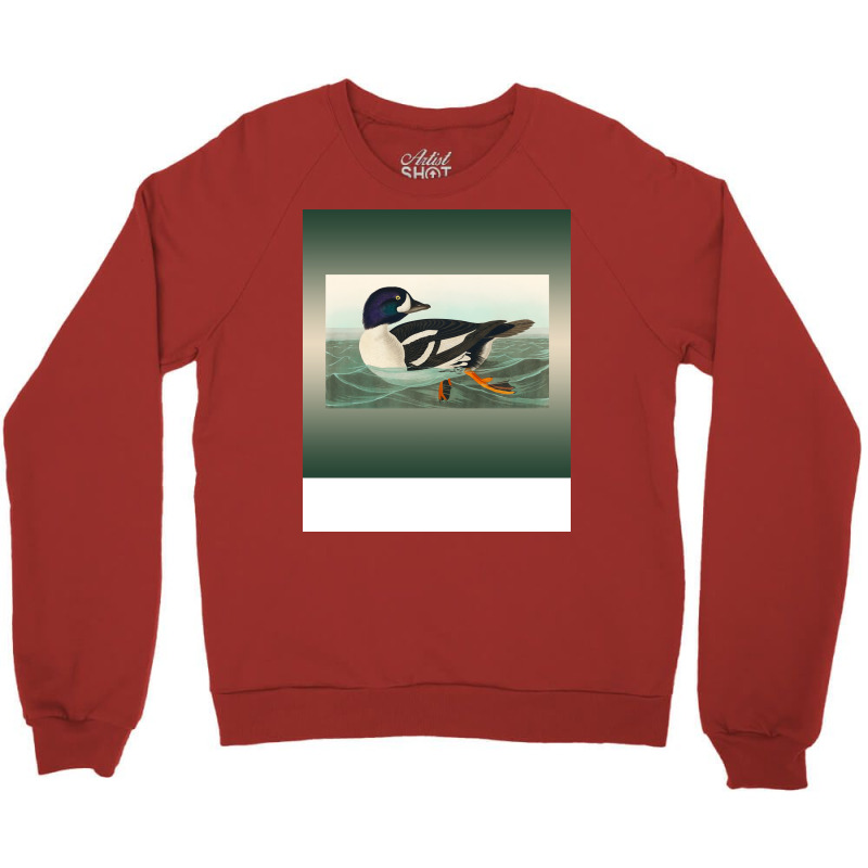 Common Goldeneye Duck Birder Antique Look Birding Crewneck Sweatshirt | Artistshot