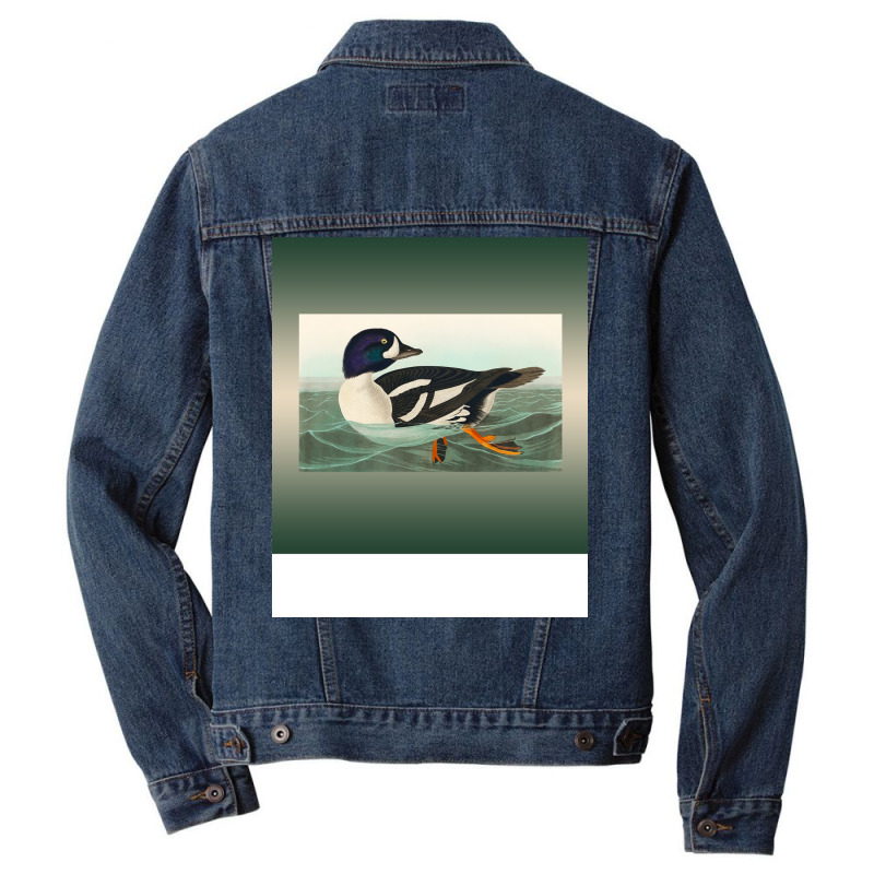 Common Goldeneye Duck Birder Antique Look Birding Men Denim Jacket | Artistshot