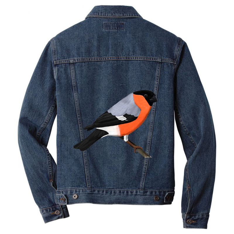 Bullfinch Bird Birdlover Birdwatcher Animal Biolog Men Denim Jacket by GwendalyForsberg | Artistshot