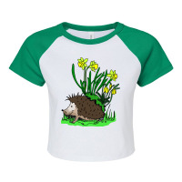 Hedgehog With Flowers Raglan Crop Top | Artistshot