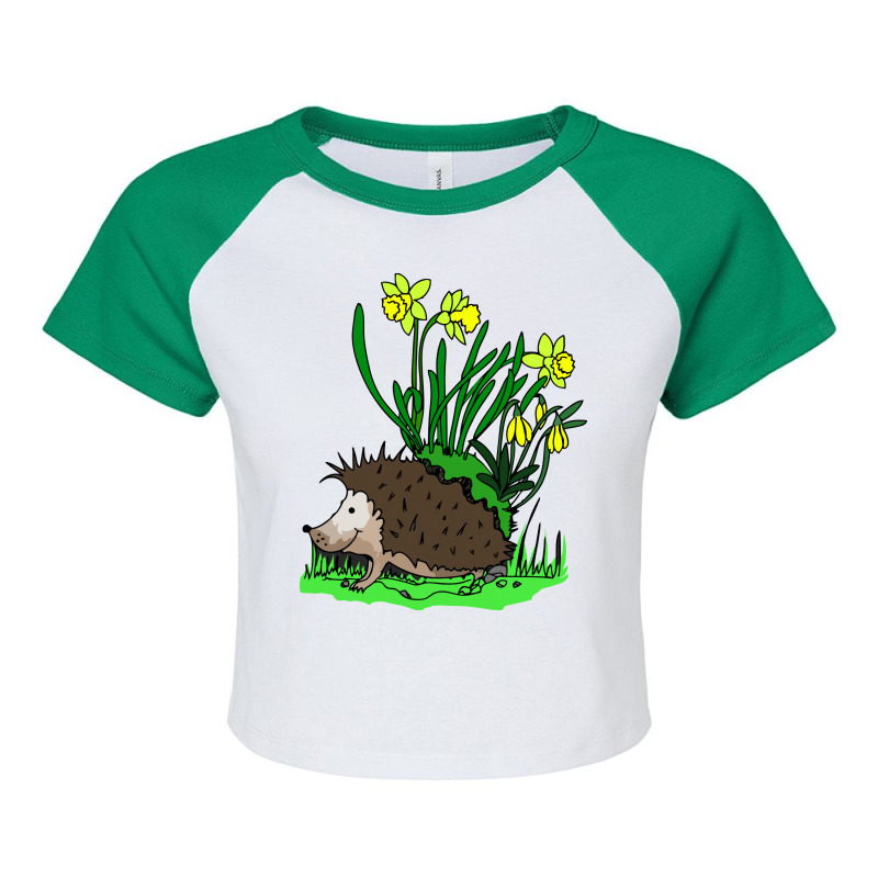 Hedgehog With Flowers Raglan Crop Top by gematees | Artistshot