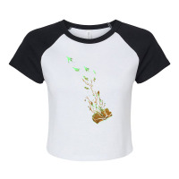 Imagination Takes Flight Raglan Crop Top | Artistshot