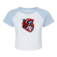 All Seeing Heart Raglan Crop Top | Artistshot