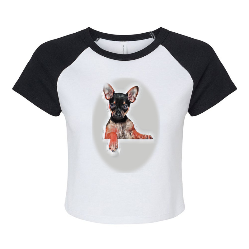 Adorable Dog Licking His Lips Raglan Crop Top by Kemnabi | Artistshot