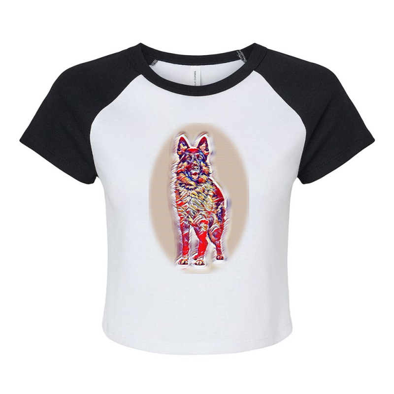 Dog On A Green Grass Outdoors Raglan Crop Top by Kemnabi | Artistshot