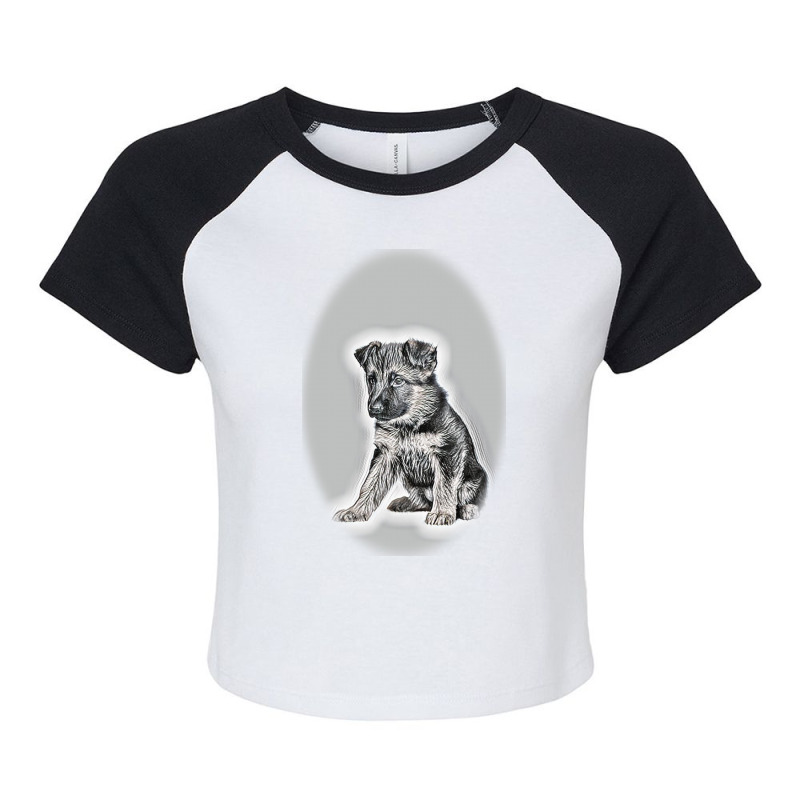 Red Dog Dachshund And Gray-bred Background Raglan Crop Top by Kemnabi | Artistshot