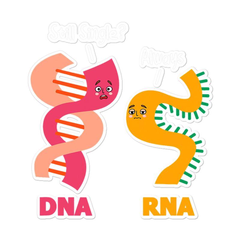 Still Single Always Dna Rna Chains Biology Lover B Sticker | Artistshot