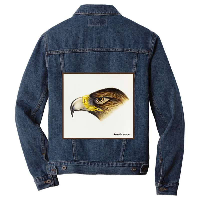 Wedge Tail Eagle Aquila Fucosa Bird Of Prey Birdin Men Denim Jacket by ZaidenHendricks | Artistshot