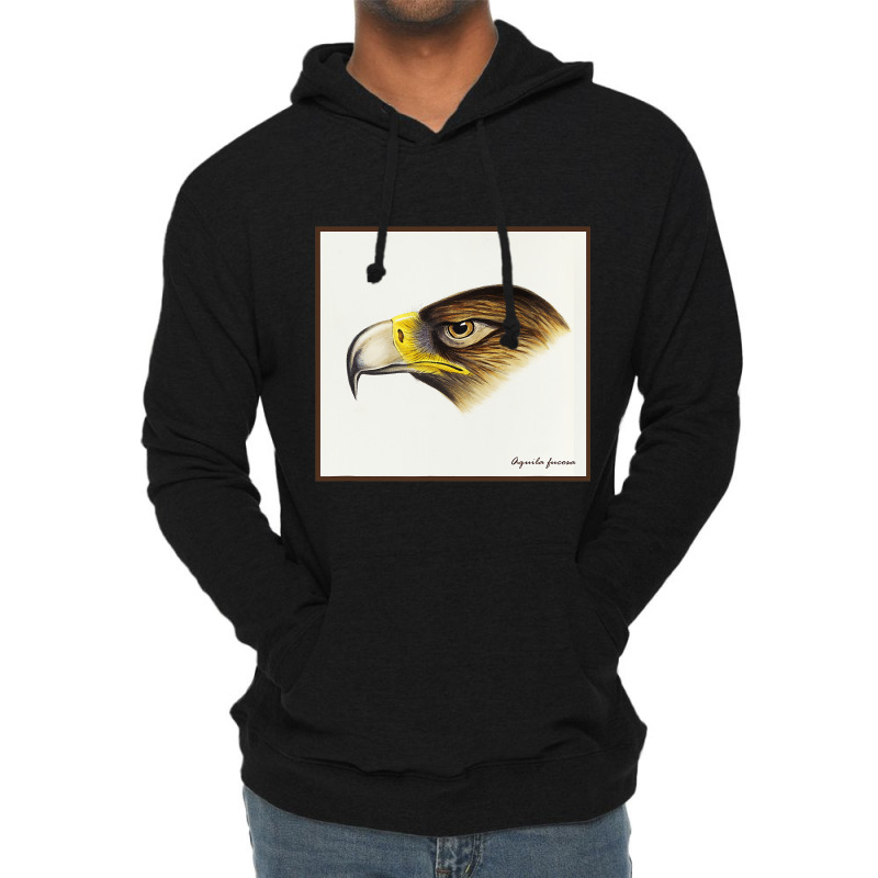 Wedge Tail Eagle Aquila Fucosa Bird Of Prey Birdin Lightweight Hoodie by ZaidenHendricks | Artistshot