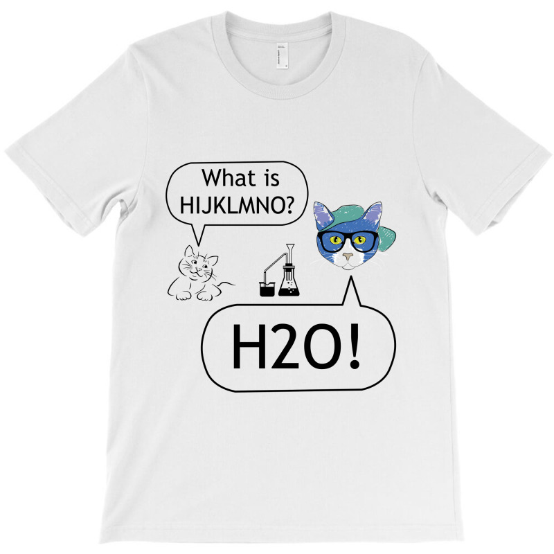 USED H2O Tシャツ XL