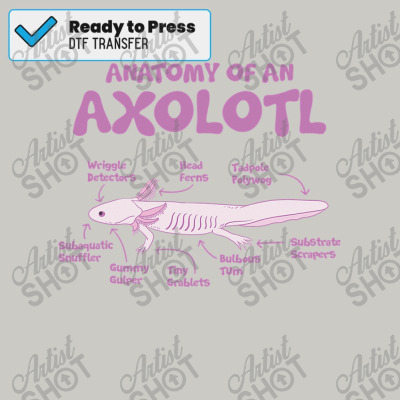 Anatomy Of An Axolotl Axolotls Biology Diagram Dtf Transfer By ...