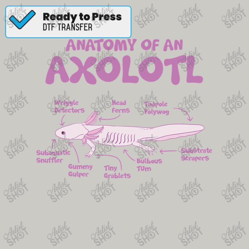 Anatomy Of An Axolotl Axolotls Biology Diagram Dtf Transfer By