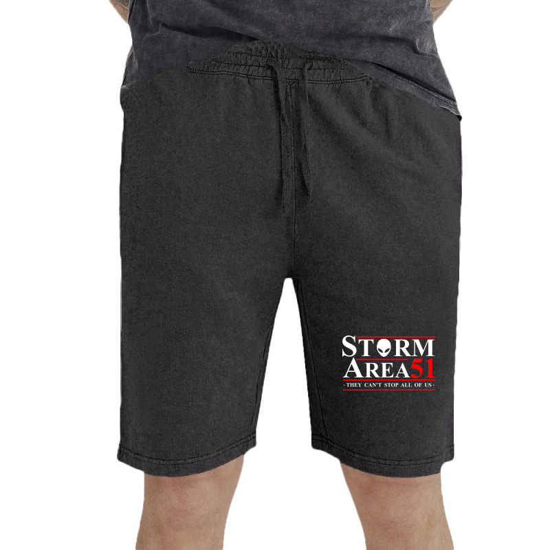 Storm Area 51 2 Vintage Short | Artistshot