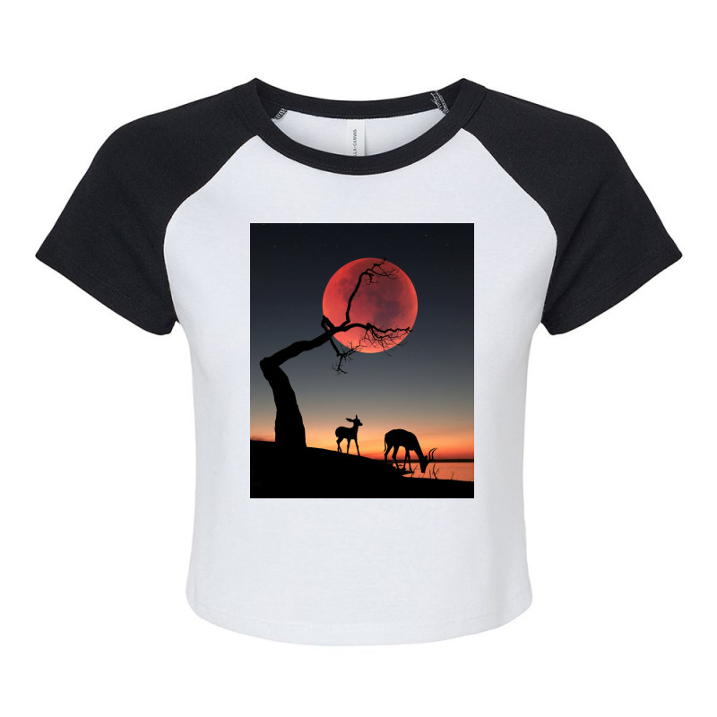 Fullmoon Raglan Crop Top | Artistshot