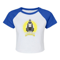 Anubis Raglan Crop Top | Artistshot