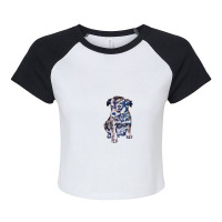 An Eight Week Old Puppy Looki Raglan Crop Top | Artistshot