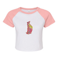 Shepherd Mix Dog On Hind Legs Raglan Crop Top | Artistshot