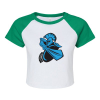 Warrior Vector Raglan Crop Top | Artistshot