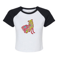 Black Pug Dog Isolated On Whi Raglan Crop Top | Artistshot