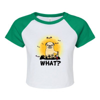 What! Halloween Pug What Funny Killer Dog Halloween Costume Raglan Crop Top | Artistshot