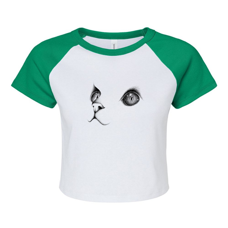 Cats Raglan Crop Top by Disgus_Thing | Artistshot