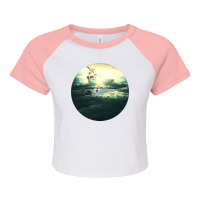 Paradise Raglan Crop Top | Artistshot