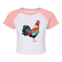 Watercolor Clipart Rooster Raglan Crop Top | Artistshot