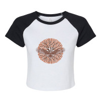 Autumn Eagle Raglan Crop Top | Artistshot