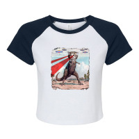 Cat Monsters Raglan Crop Top | Artistshot