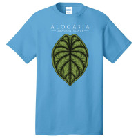 Alocasia Dragon Scale Aroid Plant Lover Anthurium Philodendron Basic T-shirt | Artistshot