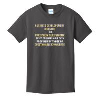 Business Developement Director I Do Precision Guesswork Basic Youth T-shirt | Artistshot