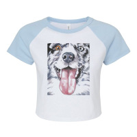 Australian Shepherd T  Shirt Australian Shepherd Fine Art Painting Raglan Crop Top | Artistshot