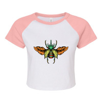 Insect 8 Raglan Crop Top | Artistshot