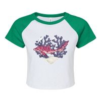 Mince, The Leopard Shark   Kawaii Shark Raglan Crop Top | Artistshot