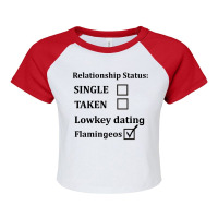 Relationship Status Lowkey Dating Flamingeos Raglan Crop Top | Artistshot