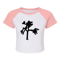 Suitable-u-2-joshua-tree-worn Raglan Crop Top | Artistshot