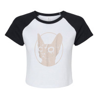 Death Metal Sphynx Cat, Satanic Clothing For Men Women T Shirt Raglan Crop Top | Artistshot