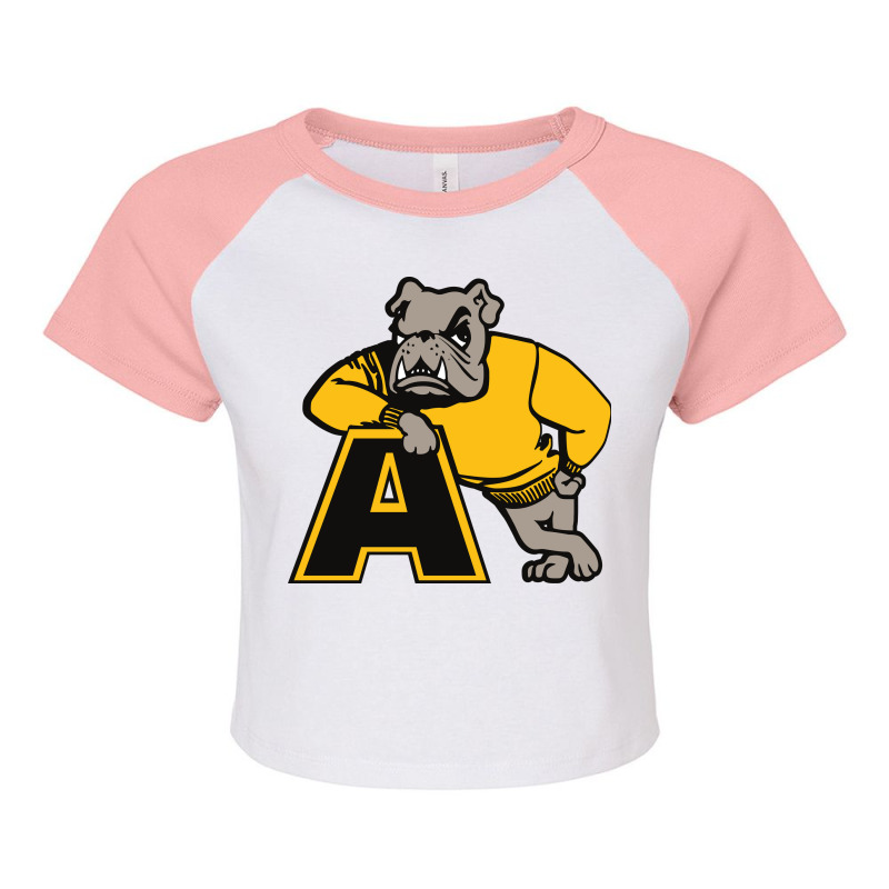 Arts College Raglan Crop Top by bawbawww2 | Artistshot