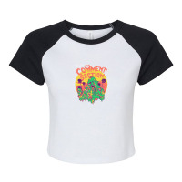 Visit The Comment Section Raglan Crop Top | Artistshot