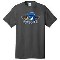 Springfield Thunderbirds Basic T-shirt | Artistshot