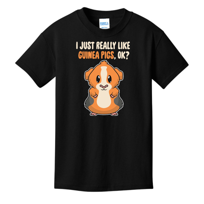 I Just Really Like T  Shirt I Just Really Like Guinea Pigs O K Basic Youth T-shirt | Artistshot