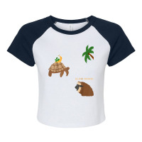 Sloth And Turtle Snail Running T Shirt Raglan Crop Top | Artistshot